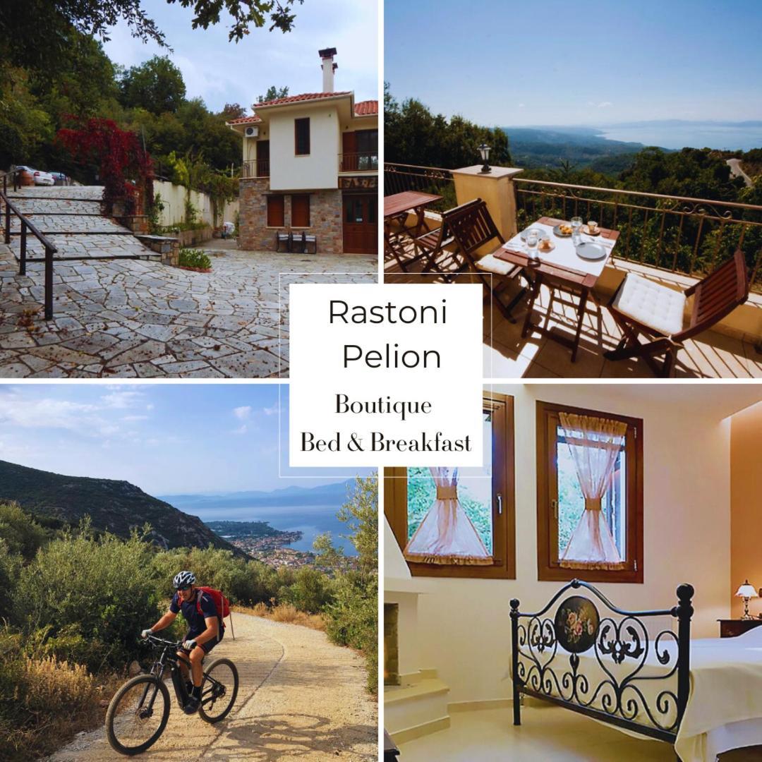 Отель Rastoni Pelion Визица Экстерьер фото